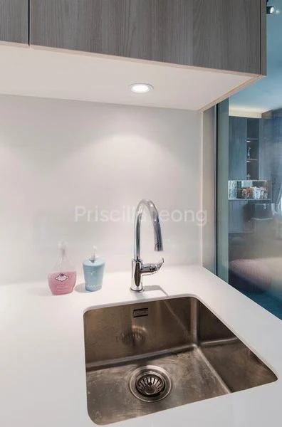 2 Bed Condo for Rent in  The Tembusu - Image 3