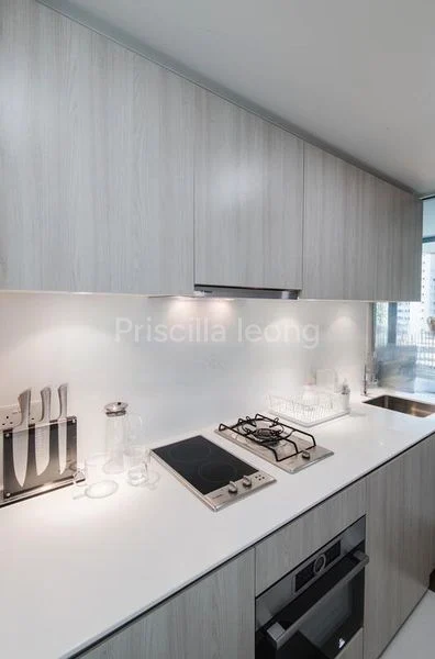 2 Bed Condo for Rent in  The Tembusu - Image 2