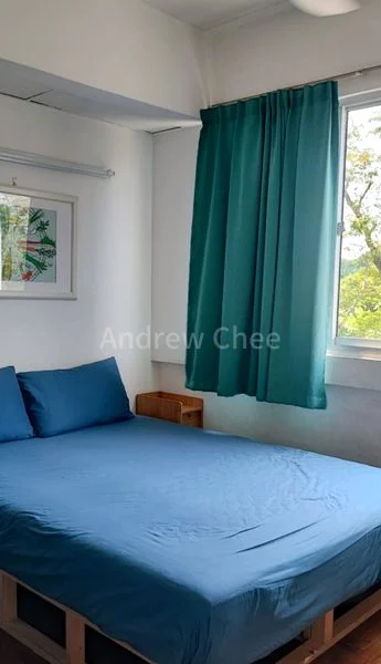 Common Room (Condo) for Rent in  Pandan Valley - Image 3
