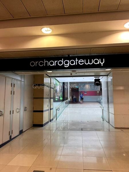Shop / Shophouse for Rent: Orchard Gateway - Image 1
