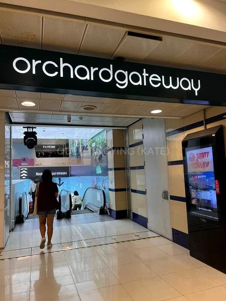 Shop / Shophouse for Rent: Orchard Gateway - Image 2