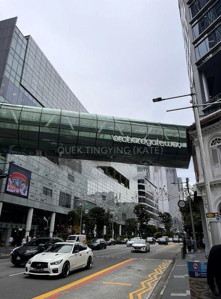 Shop / Shophouse for Rent: Orchard Gateway - Image 5