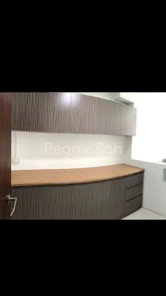 Master Room (Condo) for Rent in  Chun Tin Court - Image 7