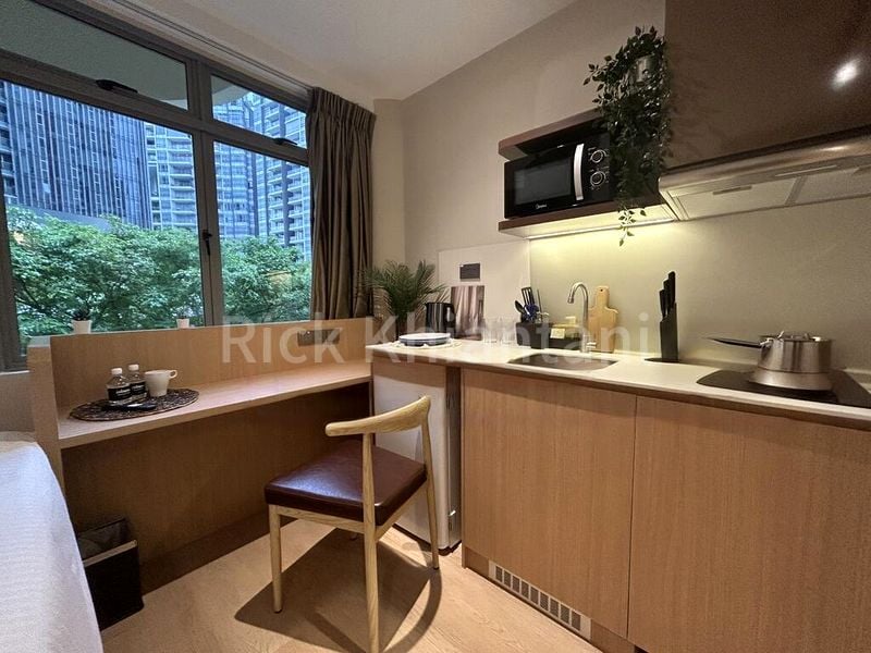 Master Room (Condo) for Rent in  2 Mount Elizabeth Link - Image 4