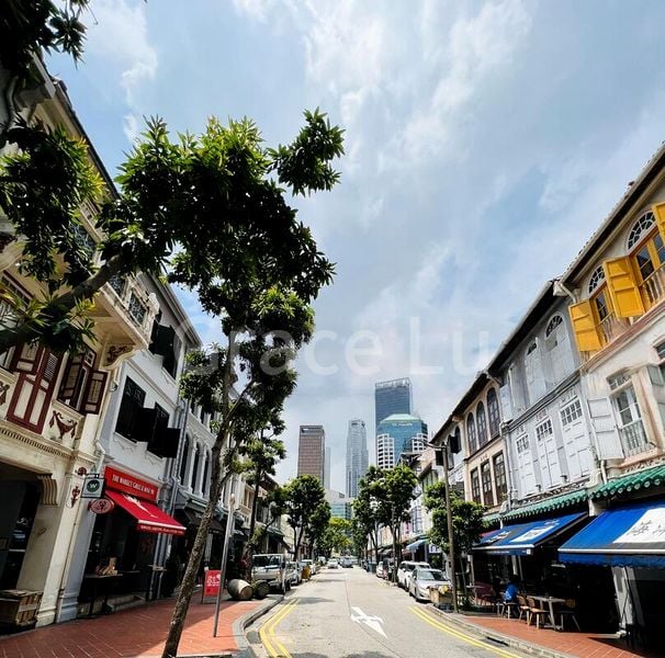 Shop / Shophouse for Sale: Telok Ayer Street - Image 17