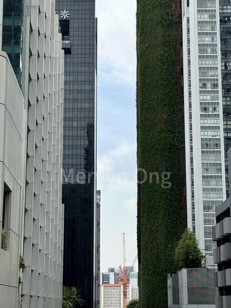 3 Bed Condo for Rent in  Newport Residences / Newport Tower - Image 7