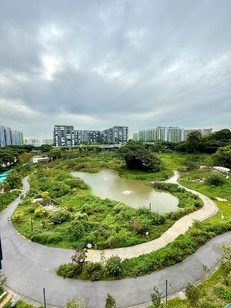 Common Room (HDB) for Rent in  233A Upper Aljunied Road - Image 5