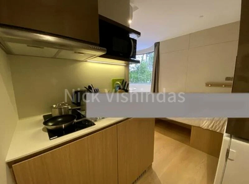 Room Apartment (Condo) for Rent in  2 Mount Elizabeth Link - Image 12