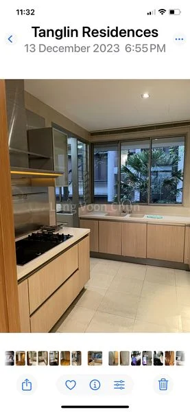 3+1 Bed Condo for Rent in  Tanglin Residences - Image 4