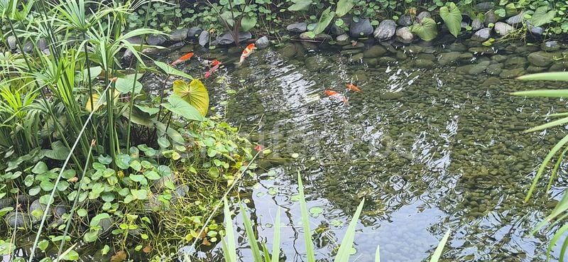 2 Bed Apartment (Condo) for Sale in  Pasir Ris 8 / Pasir Ris Mall - Image 21