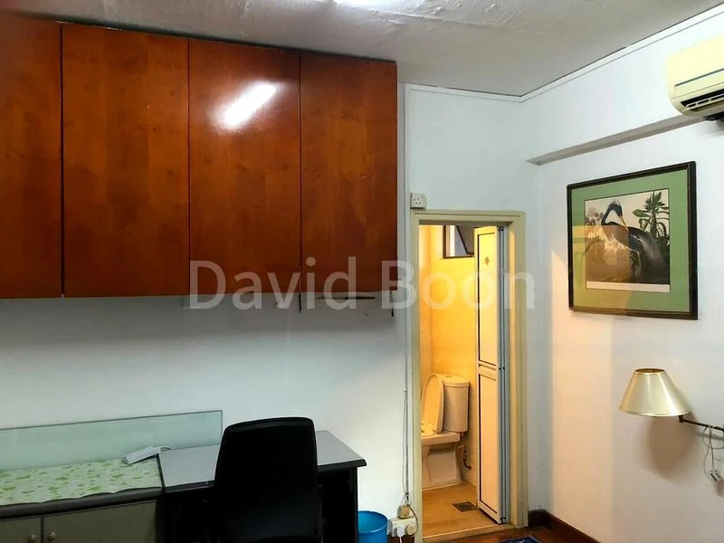 Master Room (Condo) for Rent in  Bencoolen House - Image 12