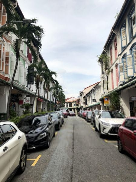 Shop / Shophouse for Sale: Duxton Road Shophouse - Image 1