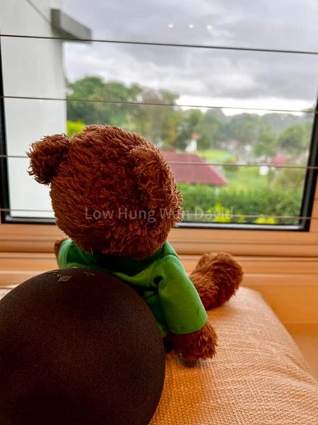 5 Room HDB for Sale in  588A Montreal Drive - Image 13