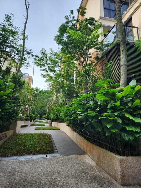 4 Bed Cluster House (Landed) for Rent in  Eleven @ Holland - Image 7