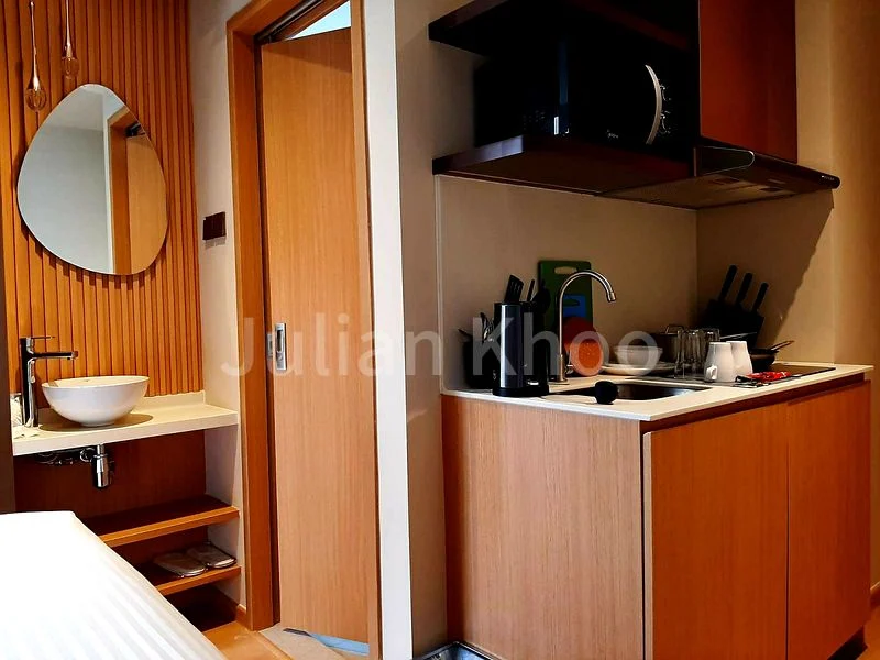 Studio Service Apartment (Condo) for Rent in 2 Mount Elizabeth Link - Image 3
