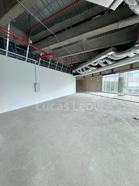 Shop / Shophouse for Rent: 268 Orchard - Image 2