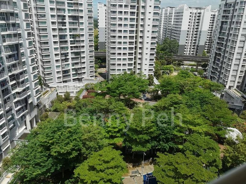 Premium HDB for Sale in  269C Punggol Field - Image 14