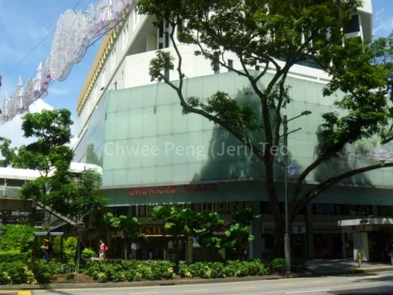 Other Retail for Sale: Orchard Plaza - Image 3