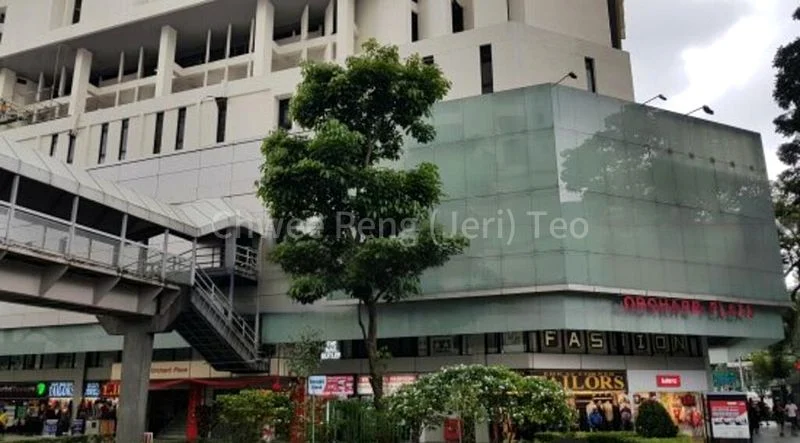 Other Retail for Sale: Orchard Plaza - Image 2