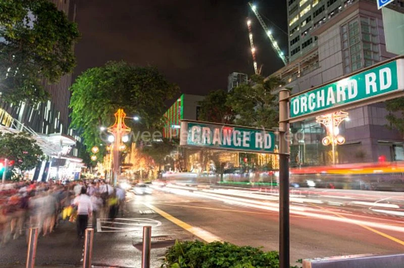 Other Retail for Sale: Orchard Plaza - Image 1