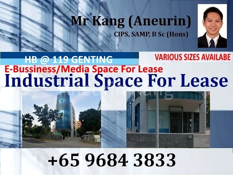 Light Industrial (B1) for Rent in  HB @ 119 Genting - Image 3