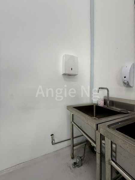 Factory / Workshop (B2) for Sale: Foodfab @ Mandai - Image 2