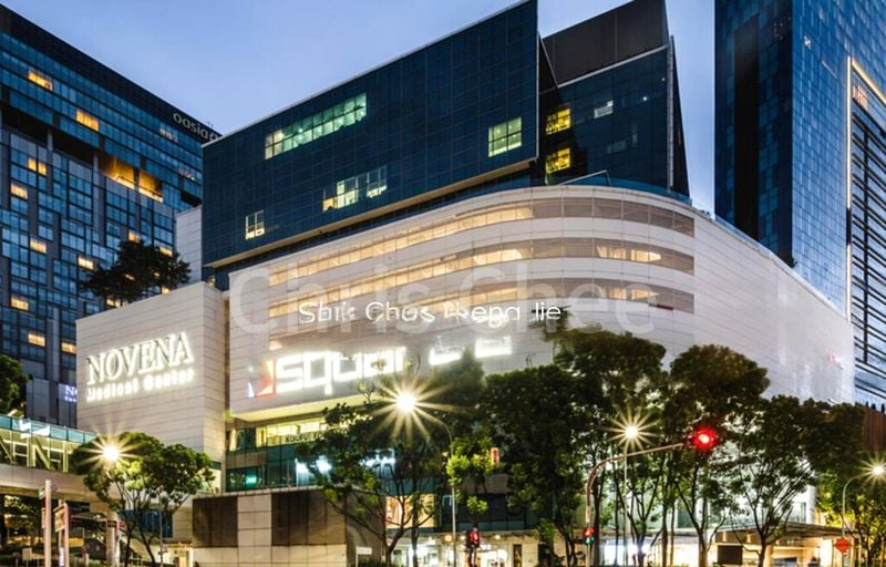 Food & Beverage for Rent: RESTAURANT @ NOVENA - Image 6