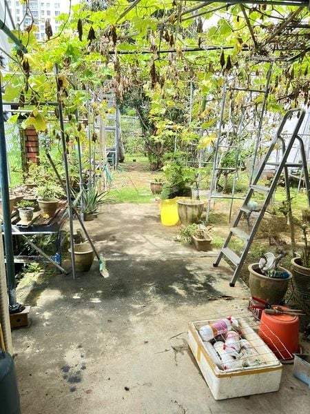 4 Bed Terraced House (Landed) for Sale in  Sennett Estate - Image 4