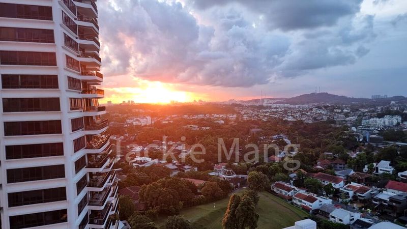 3 Bed Condo for Sale in  D'leedon - Image 15