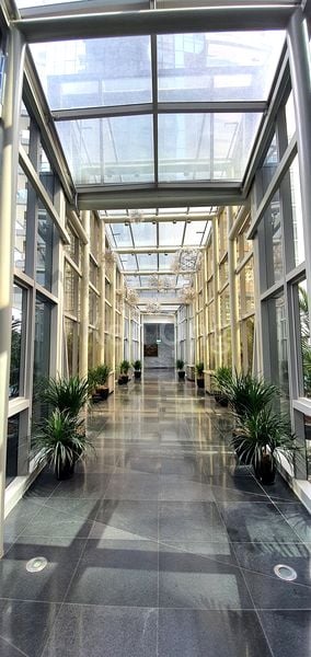 1 Bed (Condo) for Rent in  One Shenton - Image 12