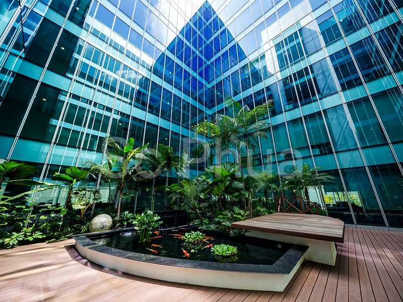 Office for Rent: 15 Scotts - Image 4