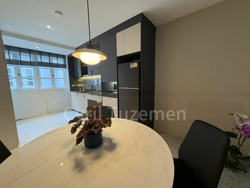 2 Bed Walk-up Apartment (Condo) for Rent in  Mohamed Sultan Road - Image 5