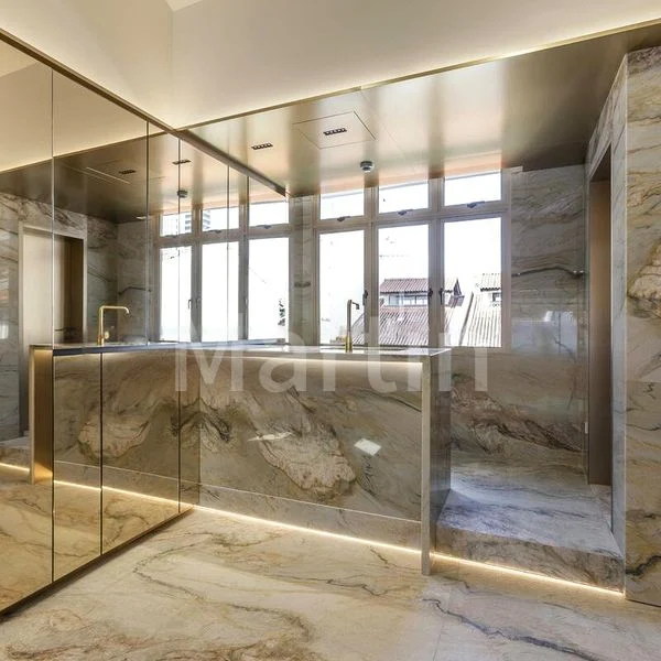 Shop / Shophouse for Sale: Circular Road - Image 3