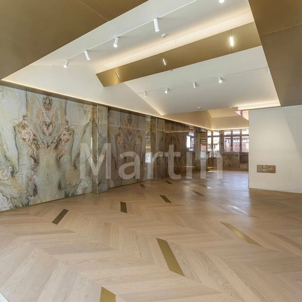 Shop / Shophouse for Sale: Circular Road - Image 5