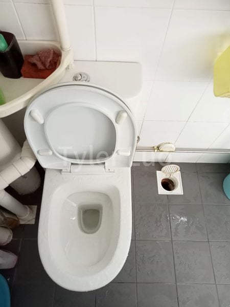 Common Room (HDB) for Rent in 467 Jurong West Street 41 - Image 3