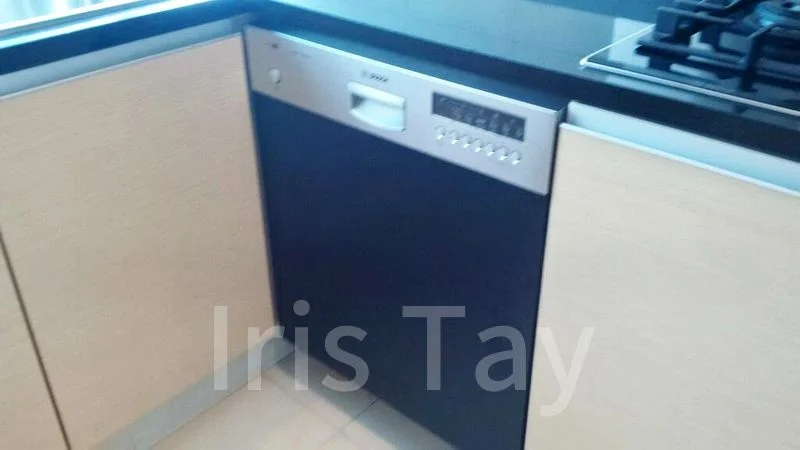 3 Bed Condo for Rent in The Grange - Image 5