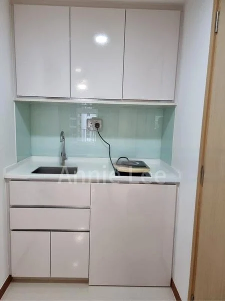 1 Bed Executive Condo for Rent in  Forestville - Image 8