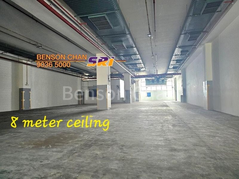 Warehouse for Rent: Pandan Crescent, 8m Ceiling B2 or Upper Floor Warehouse - Image 6