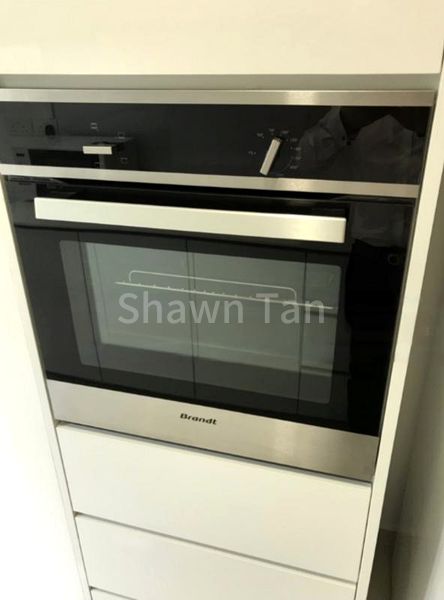 3 Bed Condo for Rent in  Terrasse - Image 3