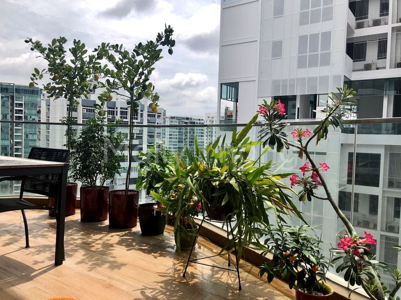 1 Bed Apartment (Condo) for Sale in  Amber Skye - Image 7