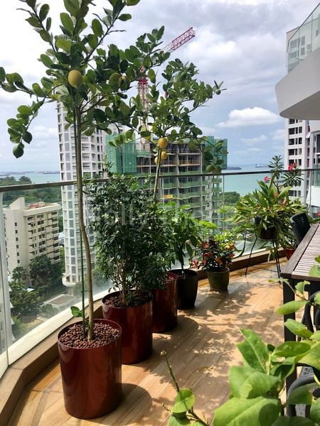 1 Bed Apartment (Condo) for Sale in  Amber Skye - Image 8