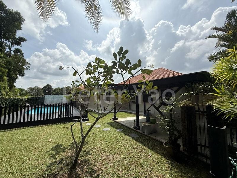 3 Bed Bungalow (Landed) for Rent in Holland Road - Image 4