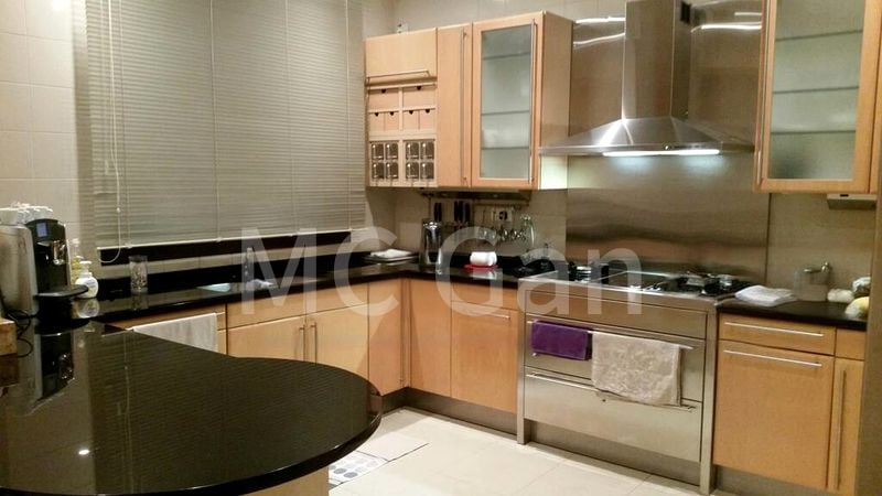 4 Bed Condo for Rent in  Ardmore Park - Image 3