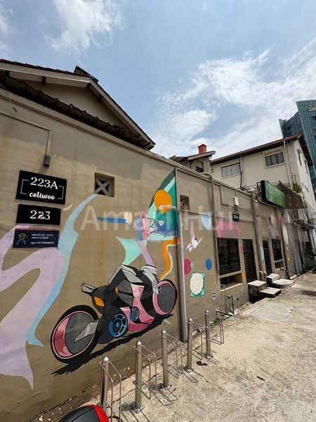 Shop / Shophouse for Rent: 223 Lavender Street - Image 1