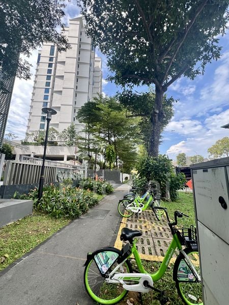 Common Room (Condo) for Rent in  Dunman View - Image 14