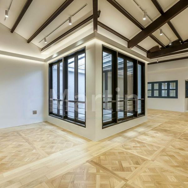 Shop / Shophouse for Sale: MOSQUE STREET - Image 5