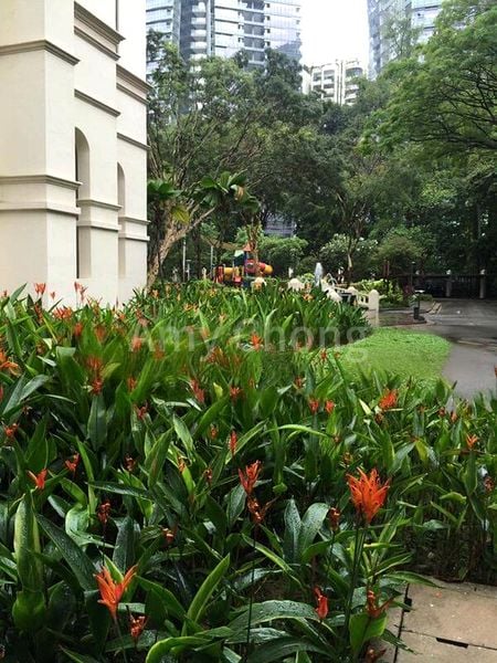 4 Bed Condo for Rent in  Spring Grove - Image 13