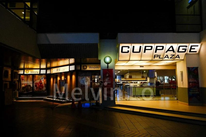 Shop / Shophouse for Sale: Cuppage Plaza - Image 3