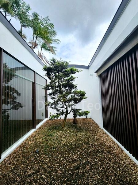 7 Bed Bungalow (Landed) for Rent in Cluny Road - Image 7