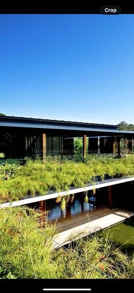 6 Bed Bungalow (Landed) for Rent in  Nassim Road - Image 5